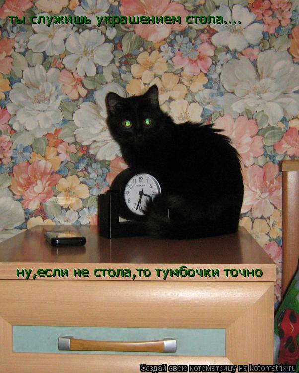 ты служишь украшением стола.... ну,если не стола,то тумбочки точно... Котоматрица: ты служишь украшением стола.... ну,если не стола,то тумбочки точно