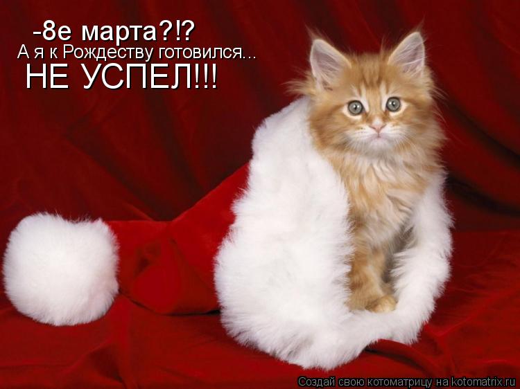 -8е марта?!? А я к Рождеству готовился... НЕ УСПЕЛ!!!... Котоматрица: -8е марта?!? А я к Рождеству готовился... НЕ УСПЕЛ!!!