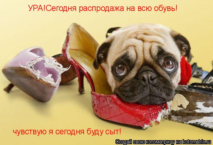 УРА!Сегодня распродажа на всю обувь! чувствую я сегодня буду сыт!... Котоматрица: УРА!Сегодня распродажа на всю обувь! чувствую я сегодня буду сыт!