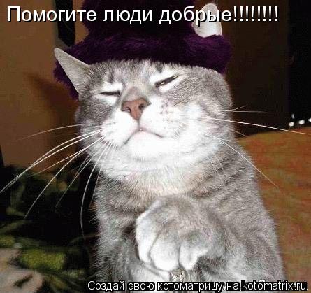 Помогите люди добрые!!!!!!!!... Котоматрица: Помогите люди добрые!!!!!!!!