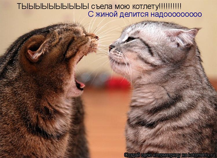 ТЫЫЫЫЫЫЫЫЫЫ съела мою котлету!!!!!!!!!! С жиной делится надооооооооо... Котоматрица: ТЫЫЫЫЫЫЫЫЫЫ съела мою котлету!!!!!!!!!! С жиной делится надооооооооо