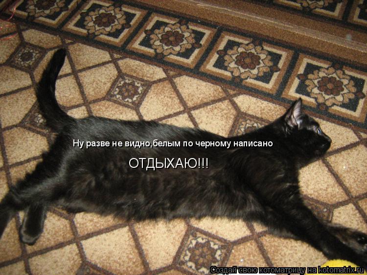 Ну разве не видно,белым по черному написано ОТДЫХАЮ!!!... Котоматрица: Ну разве не видно,белым по черному написано ОТДЫХАЮ!!!