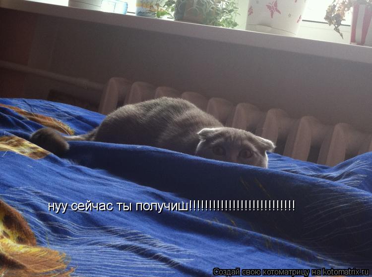 нуу сейчас ты получиш!!!!!!!!!!!!!!!!!!!!!!!!!!!... Котоматрица: нуу сейчас ты получиш!!!!!!!!!!!!!!!!!!!!!!!!!!!