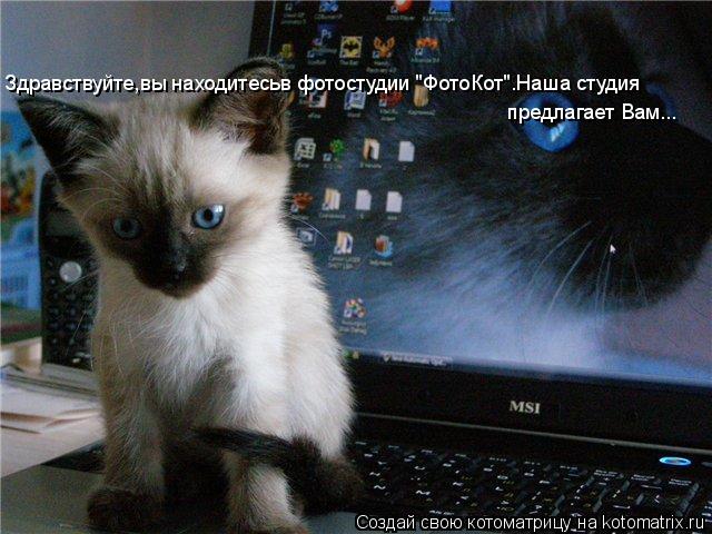 Здравствуйте,вы находитесьв фотостудии "ФотоКот".Наша студия предлагает Вам...... Котоматрица: Здравствуйте,вы находитесьв фотостудии "ФотоКот".Наша студия предлагает Вам...