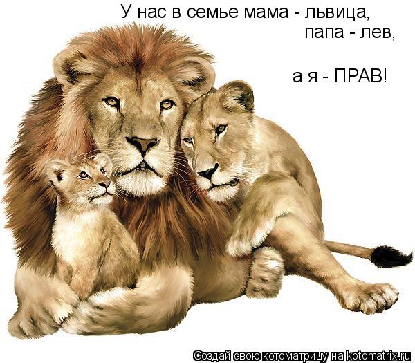 У нас в семье мама - львица, папа - лев, а я - ПРАВ!... Котоматрица: У нас в семье мама - львица, папа - лев, а я - ПРАВ!