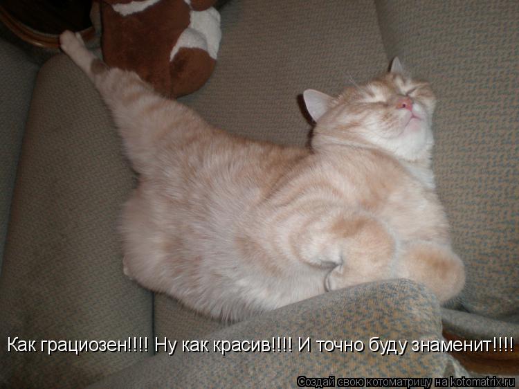 Котоматрица: Как грациозен!!!! Ну как красив!!!! И точно буду знаменит!!!!