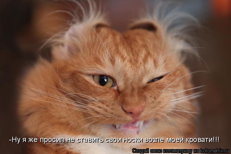 Котоматрица: -Ну я же просил не ставить свои носки возле моей кровати!!!