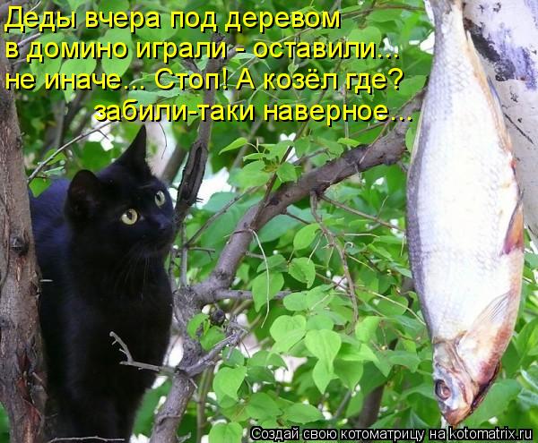 Деды вчера под деревом в домино играли - оставили... не иначе... Стоп! А козёл где? забили-таки наве... Котоматрица: Деды вчера под деревом в домино играли - оставили... не иначе... Стоп! А козёл где? забили-таки наверное...