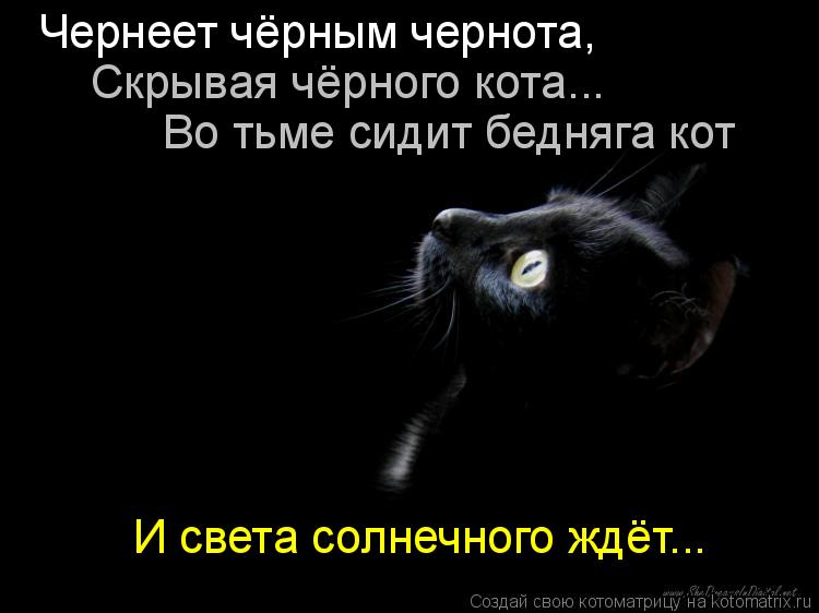 Котоматрица: Чернеет чёрным чернота,  Скрывая чёрного кота... Во тьме сидит бедняга кот И света солнечного ждёт...