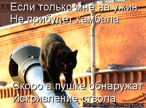 Котоматрица: Если только мне на ужин Не прибудет камбала Скоро в пушке обнаружат Искривление ствола