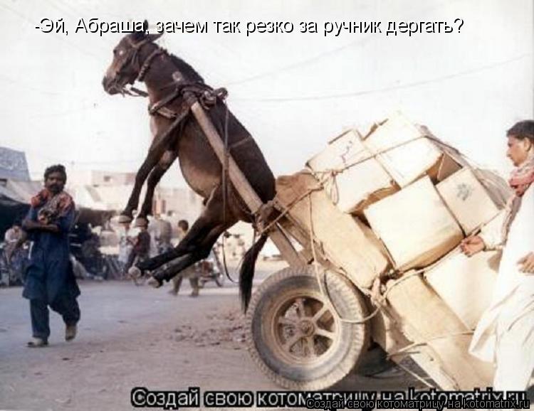 Котоматрица: -Эй, Абраша, зачем так резко за ручник дергать?