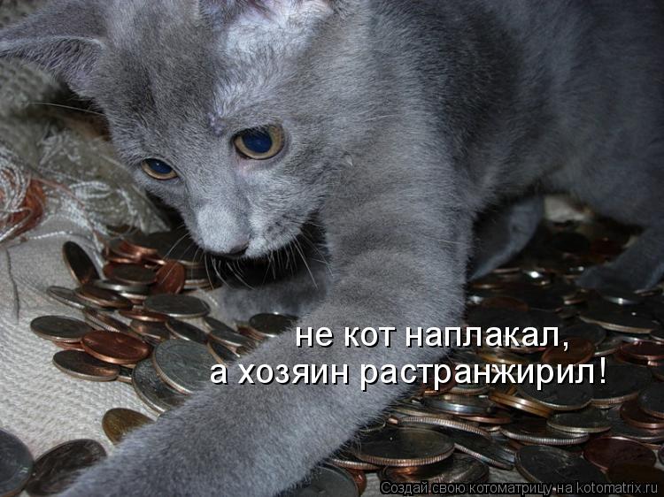 а хозяин растранжирил! не кот наплакал,... Котоматрица: а хозяин растранжирил! не кот наплакал,