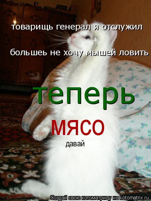 товарищь генерал я отслужил большеь не хочу мышей ловить теперь мясо давай... Котоматрица: товарищь генерал я отслужил большеь не хочу мышей ловить теперь мясо давай
