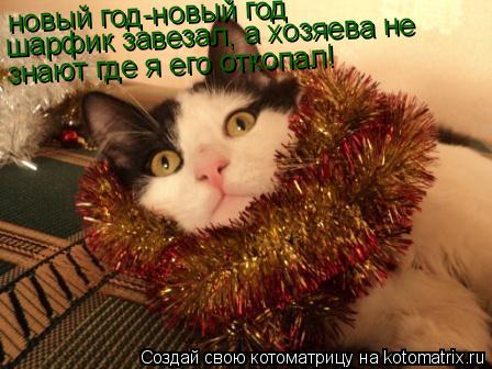 новый год-новый год шарфик завезал, а хозяева не знают где я его откопал! новый год-новый год шарфик ... Котоматрица: новый год-новый год шарфик завезал, а хозяева не знают где я его откопал! новый год-новый год шарфик завезал, а хозяева не знают где я его отк