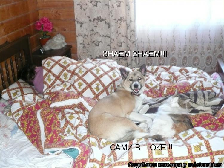 ЗНАЕМ ЗНАЕМ!!! САМИ В ШОКЕ!!!... Котоматрица: ЗНАЕМ ЗНАЕМ!!! САМИ В ШОКЕ!!!