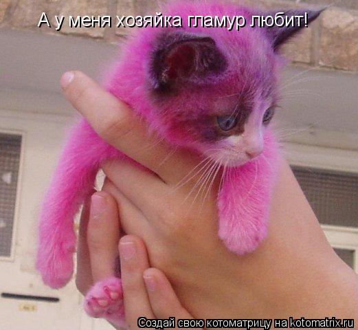 А у меня хозяйка гламур любит!... Котоматрица: А у меня хозяйка гламур любит!