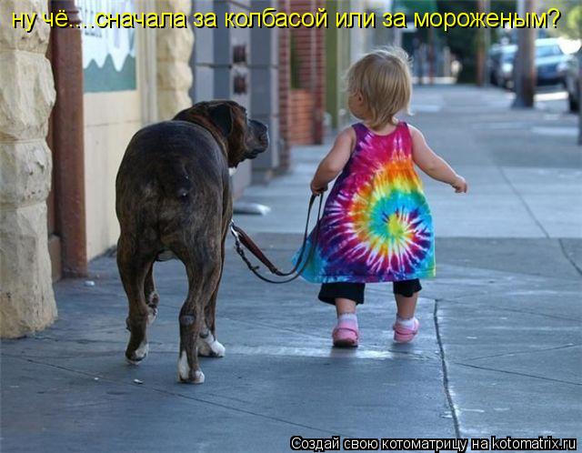 ну чё....сначала за колбасой или за мороженым?... Котоматрица: ну чё....сначала за колбасой или за мороженым?