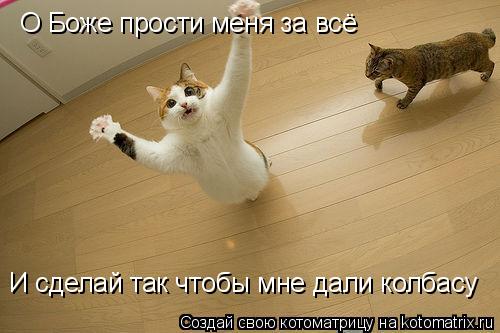 О Боже прости меня за всё И сделай так чтобы мне дали колбасу... Котоматрица: О Боже прости меня за всё И сделай так чтобы мне дали колбасу