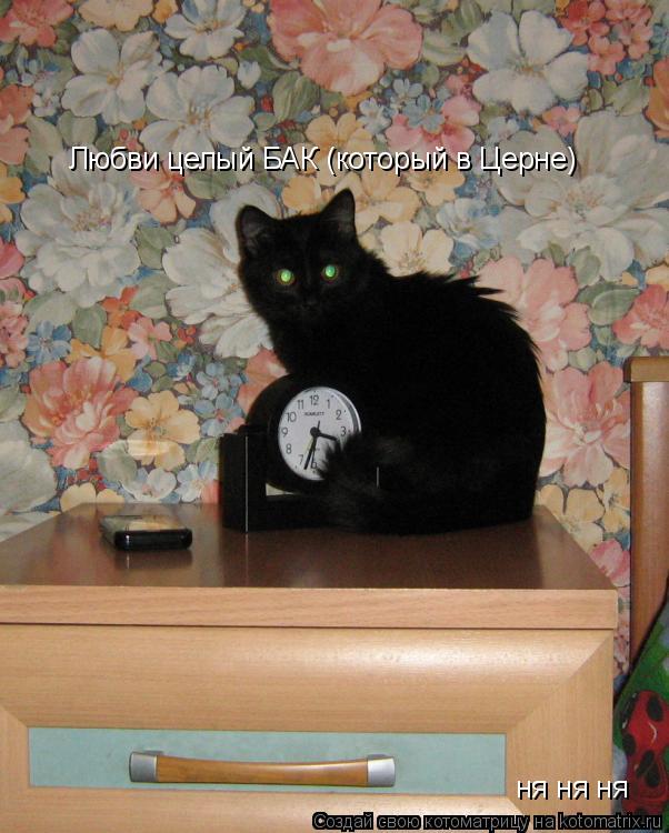 Любви целый БАК (который в Церне) ня ня ня... Котоматрица: Любви целый БАК (который в Церне) ня ня ня