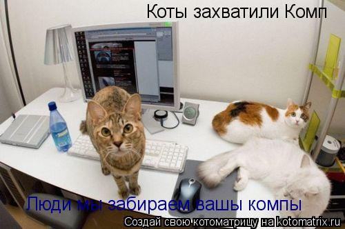Коты захватили Комп Люди мы забираем вашы компы... Котоматрица: Коты захватили Комп Люди мы забираем вашы компы