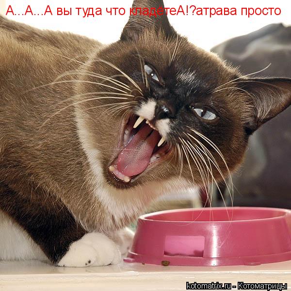А...А...А вы туда что кладётеА!?атрава просто... Котоматрица: А...А...А вы туда что кладётеА!?атрава просто