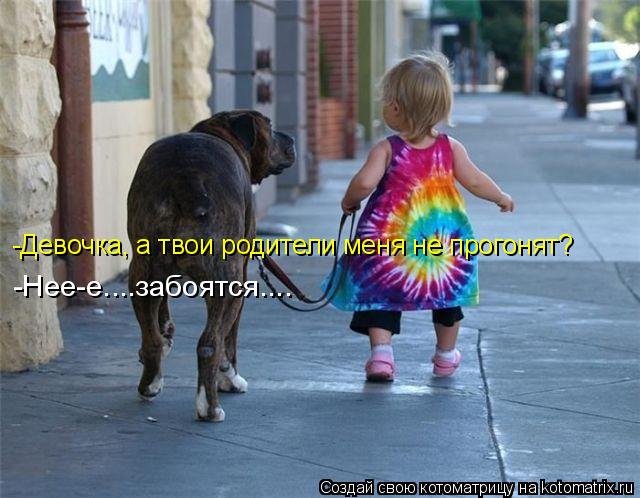 -Девочка, а твои родители меня не прогонят? -Нее-е....забоятся....... Котоматрица: -Девочка, а твои родители меня не прогонят? -Нее-е....забоятся....