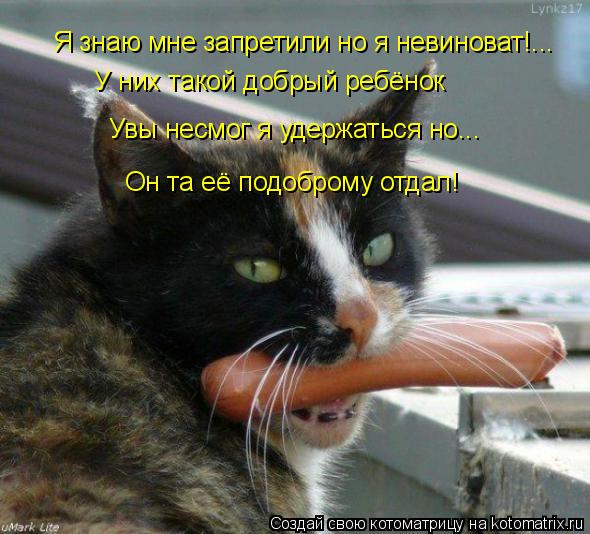 Я знаю мне запретили но я невиноват!... У них такой добрый ребёнок Увы несмог я удержаться но... Он т... Котоматрица: Я знаю мне запретили но я невиноват!... У них такой добрый ребёнок Увы несмог я удержаться но... Он та её подоброму отдал!
