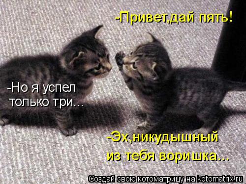 -Привет,дай пять! -Но я успел только три... -Эх,никудышный из тебя воришка...... Котоматрица: -Привет,дай пять! -Но я успел только три... -Эх,никудышный из тебя воришка...
