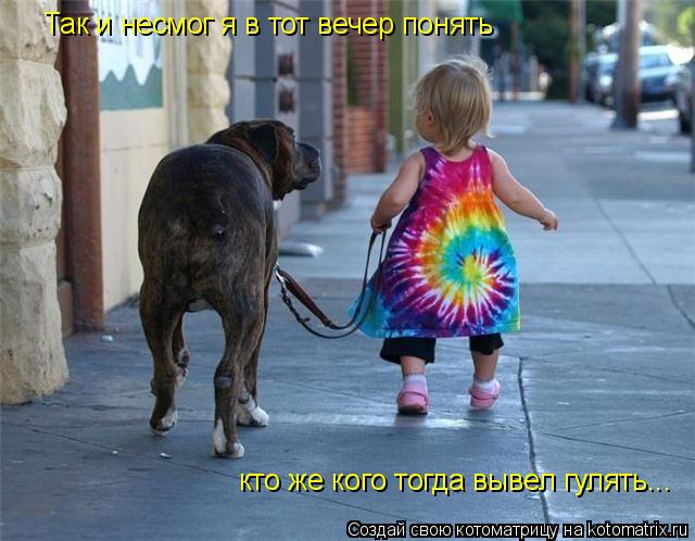 Так и несмог я в тот вечер понять кто же кого тогда вывел гулять...... Котоматрица: Так и несмог я в тот вечер понять кто же кого тогда вывел гулять...