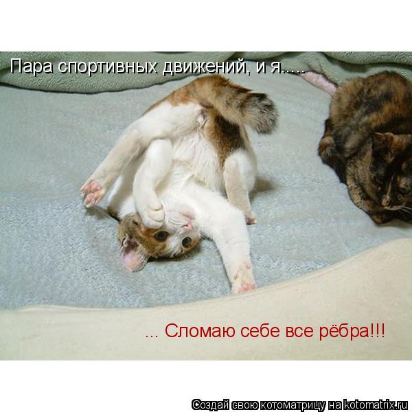Котоматрица: Пара спортивных движений, и я..... ... Сломаю себе все рёбра!!!