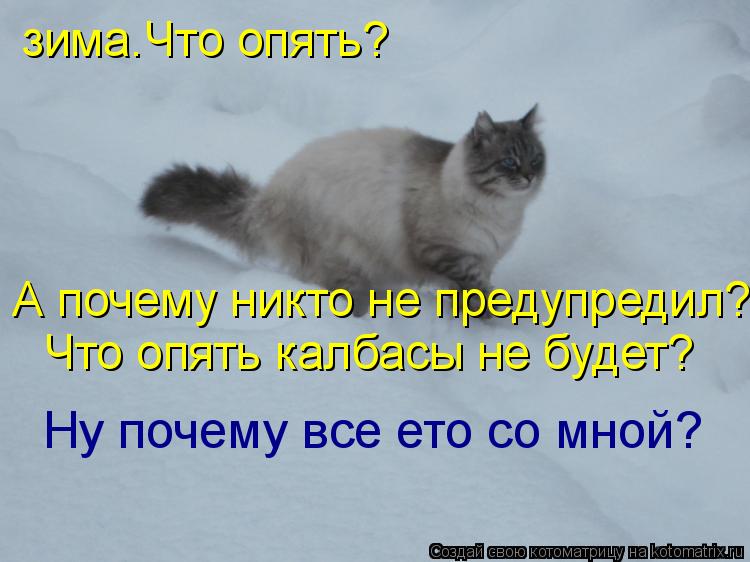 Котоматрица: зима.Что опять? А почему никто не предупредил? Ну почему все ето со мной? Что опять калбасы не будет?