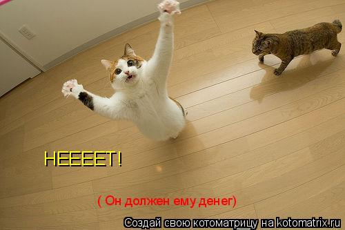 НЕЕЕЕТ! ( Он должен ему денег)... Котоматрица: НЕЕЕЕТ! ( Он должен ему денег)