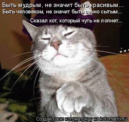 Котоматрица: Быть мудрым, не значит быть красивым... Быть человеком, не значит быть вечно сытым... Сказал кот, который чуть не лопнет...