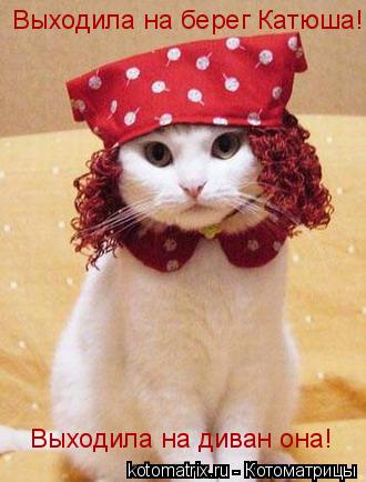Котоматрица: Выходила на берег Катюша! Выходила на диван она!