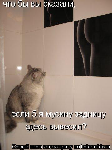 что бы вы сказали, если б я мусину задницу здесь вывесил?... Котоматрица: что бы вы сказали, если б я мусину задницу здесь вывесил?