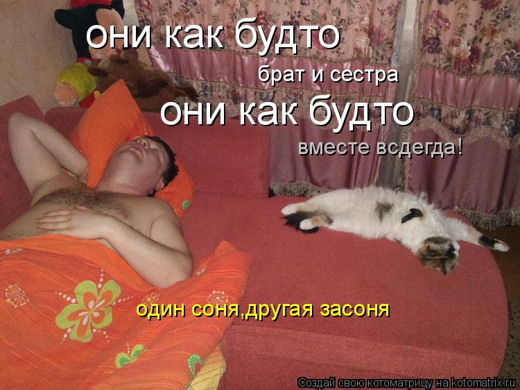 Котоматрица: брат и сестра один соня,другая засоня они как будто они как будто вместе всдегда!