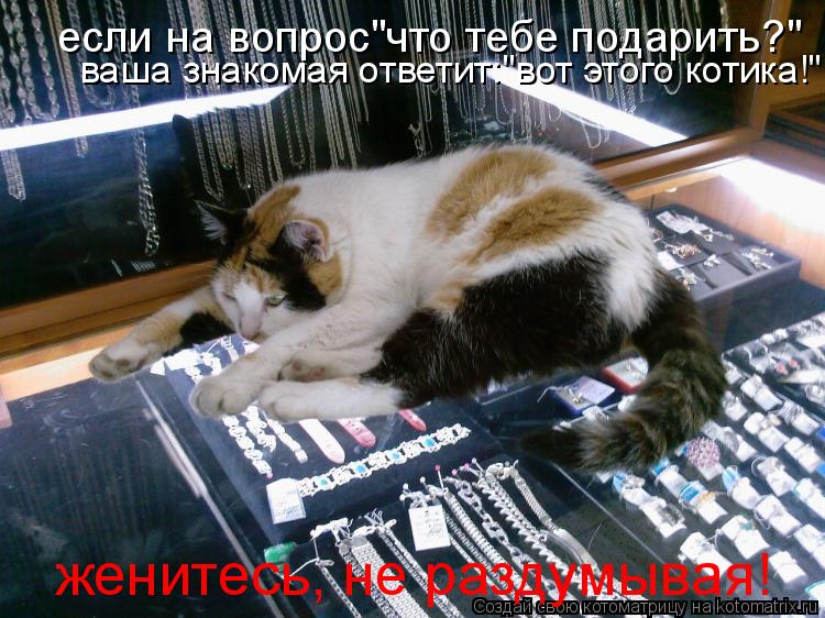 если на вопрос"что тебе подарить?" ваша знакомая ответит:"вот этого котика!" - женитесь, не раздумыв... Котоматрица: если на вопрос"что тебе подарить?" ваша знакомая ответит:"вот этого котика!" - женитесь, не раздумывая!