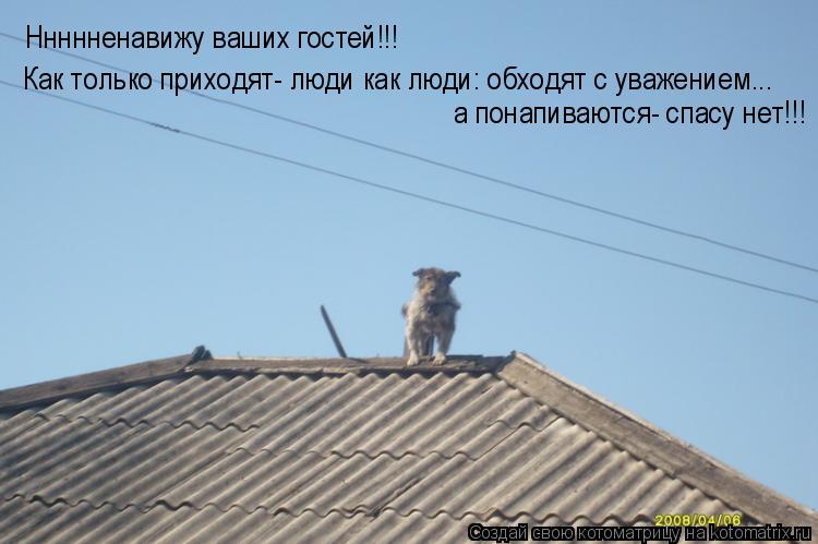 а понапиваются- спасу нет!!! Ннннненавижу ваших гостей!!! Как только приходят- люди как люди: обходят... Котоматрица: а понапиваются- спасу нет!!! Ннннненавижу ваших гостей!!! Как только приходят- люди как люди: обходят с уважением...