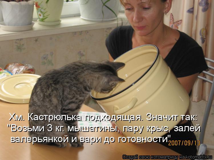 Хм. Кастрюлька подходящая. Значит так: "Возьми 3 кг. мышатины, пару крыс, залей валерьянкой и вари до... Котоматрица: Хм. Кастрюлька подходящая. Значит так: "Возьми 3 кг. мышатины, пару крыс, залей валерьянкой и вари до готовности"