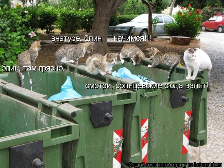 Котоматрица: смотри, солнцевские валят смотри, солнцевские сюда валят! начимся!!! блин, там грязно... внатуре, блин