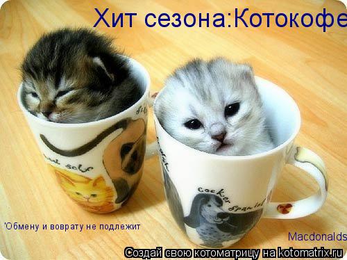 Хит сезона:Котокофе 'Обмену и воврату не подлежит Macdonalds... Котоматрица: Хит сезона:Котокофе 'Обмену и воврату не подлежит Macdonalds