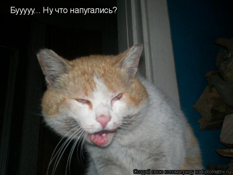Бууууу... Ну что напугались?... Котоматрица: Бууууу... Ну что напугались?