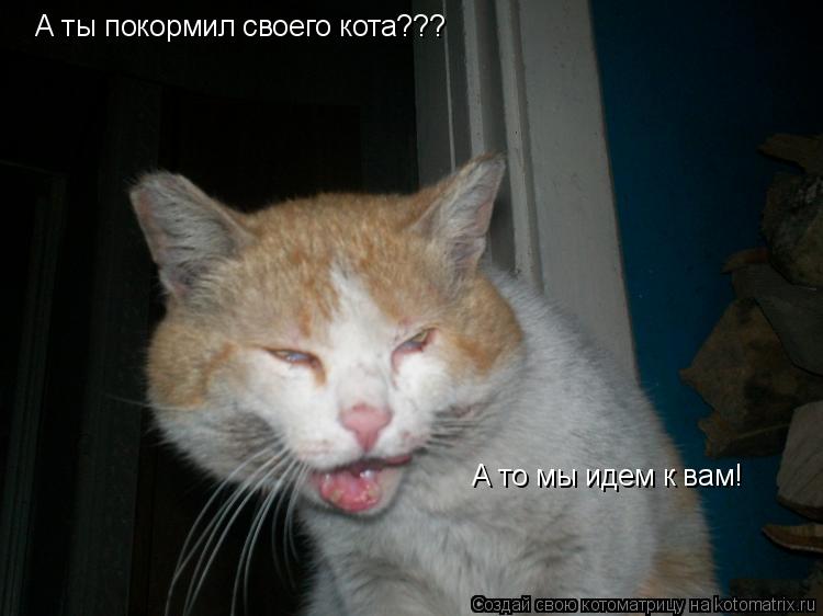 А ты покормил своего кота??? А то мы идем к вам!... Котоматрица: А ты покормил своего кота??? А то мы идем к вам!