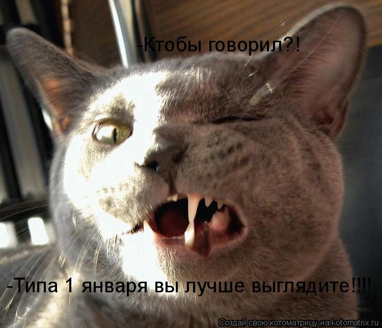 -Ктобы говорил?! -Типа 1 января вы лучше выглядите!!!!... Котоматрица: -Ктобы говорил?! -Типа 1 января вы лучше выглядите!!!!