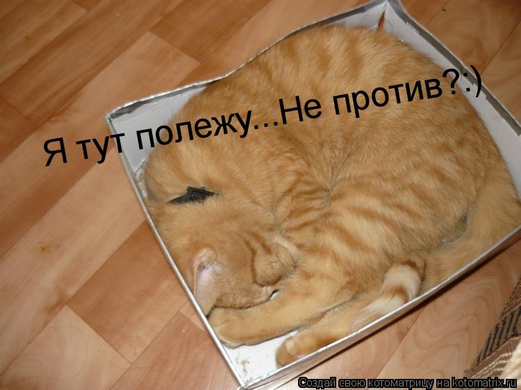 Я тут полежу...Не против?:)... Котоматрица: Я тут полежу...Не против?:)