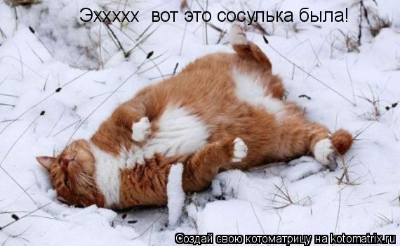 Эххххх вот это сосулька была!... Котоматрица: Эххххх вот это сосулька была!