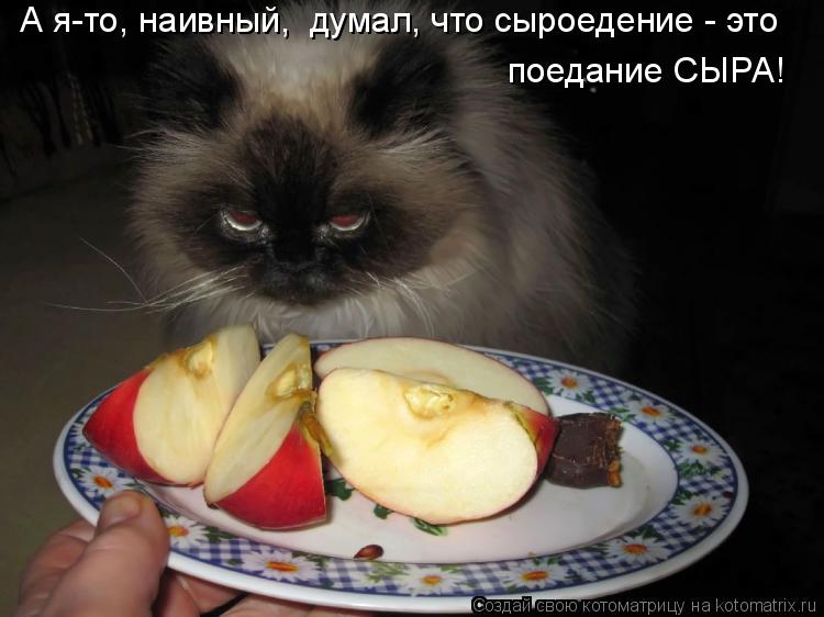 Котоматрица: А я-то, наивный,  думал, что сыроедение - это поедание СЫРА!