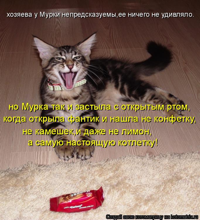но Мурка так и застыла с открытым ртом, когда открыла фантик и нашла не конфетку, не камешек,и даже н... Котоматрица: но Мурка так и застыла с открытым ртом, когда открыла фантик и нашла не конфетку, не камешек,и даже не лимон, хозяева у Мурки непредсказуемы,