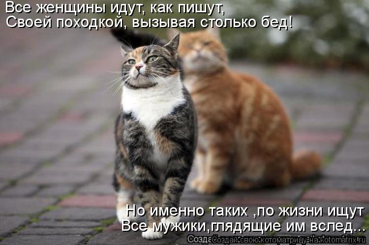 Все мужики,глядящие им вслед... Но именно таких ,по жизни ищут Все женщины идут, как пишут, Своей по... Котоматрица: Все мужики,глядящие им вслед... Но именно таких ,по жизни ищут Все женщины идут, как пишут, Своей походкой, вызывая столько бед!