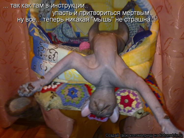 ... так как там в инструкции.. ... так как там в инструкции.. упасть и притвориться мертвым.. упасть ... Котоматрица: ... так как там в инструкции.. ... так как там в инструкции.. упасть и притвориться мертвым.. упасть и притвориться мертвым.. ну все... теперь ника